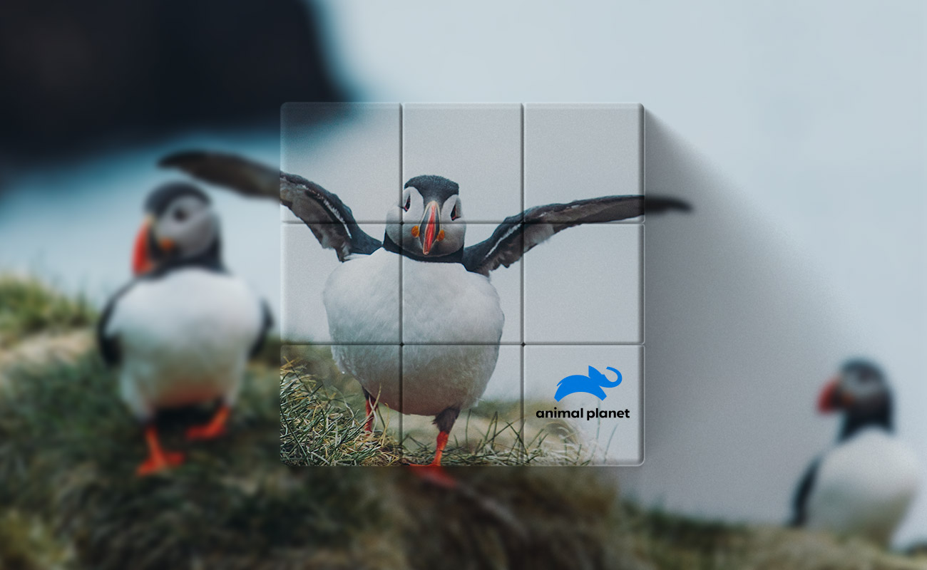 Blox - Personalisierte Zauberwürfelcher gallery thumbnail